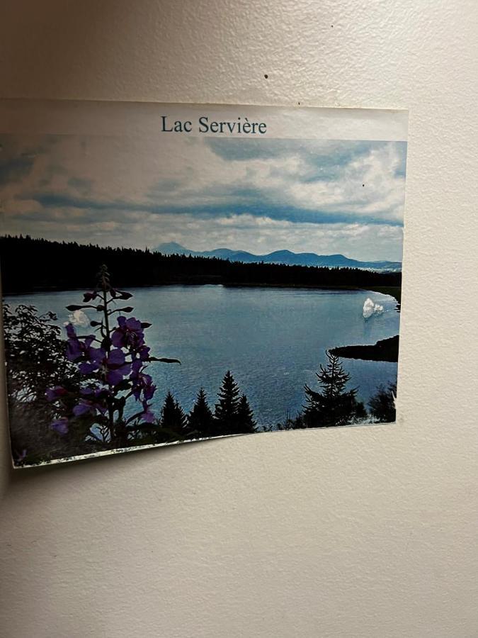 Super-Besse Residence Le Lac Bleu Serviere Chez Lorenzo Et Severine エクステリア 写真