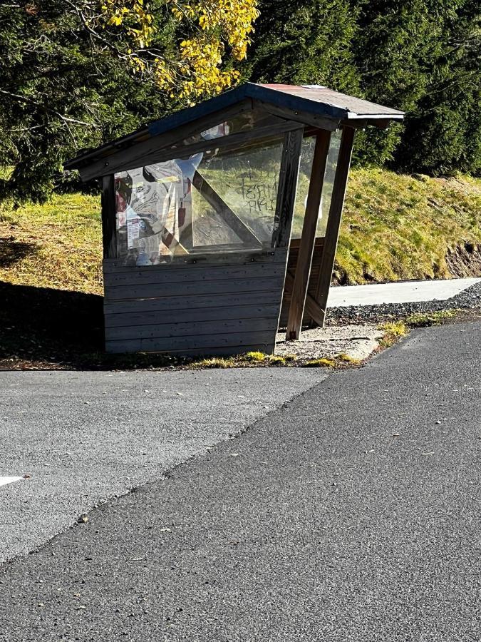 Super-Besse Residence Le Lac Bleu Serviere Chez Lorenzo Et Severine エクステリア 写真